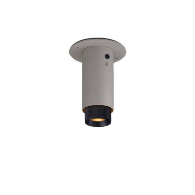 1 - Light Flush Mount