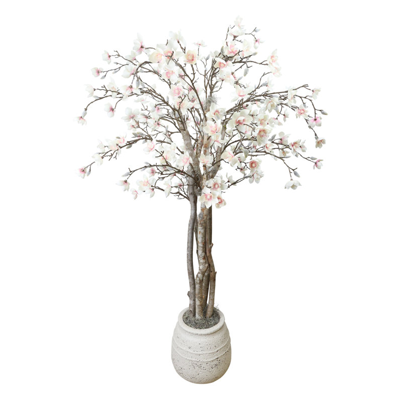 Magnolia Tree in Stone Pot