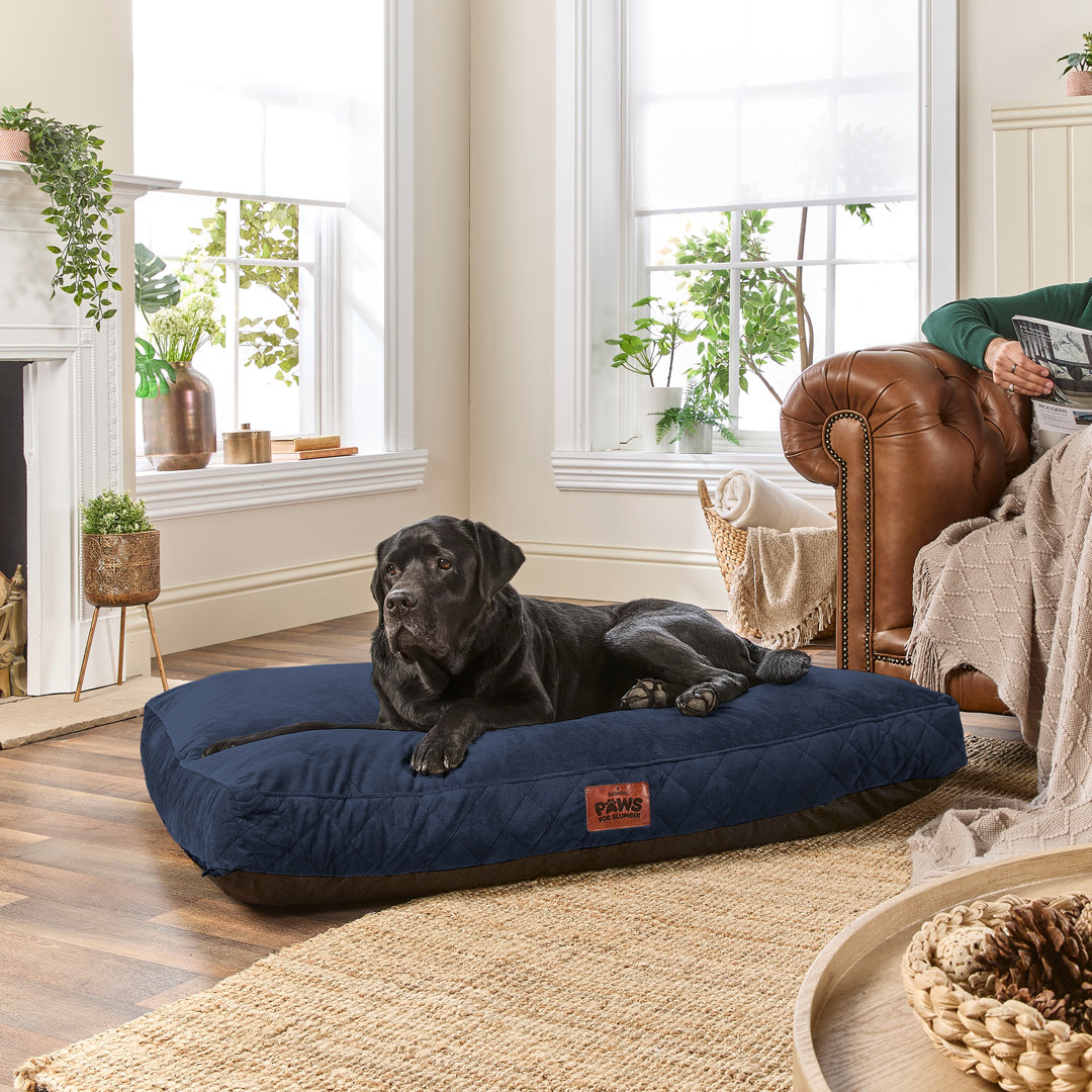 Slumberdown Paws For Slumber Padded Pet Bed Blue - Extra Larg - Image 5