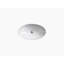 KOHLER Empress Bouquet Vintage®, ARTIST EDITIONS Oval Undermount Bathroom Sink