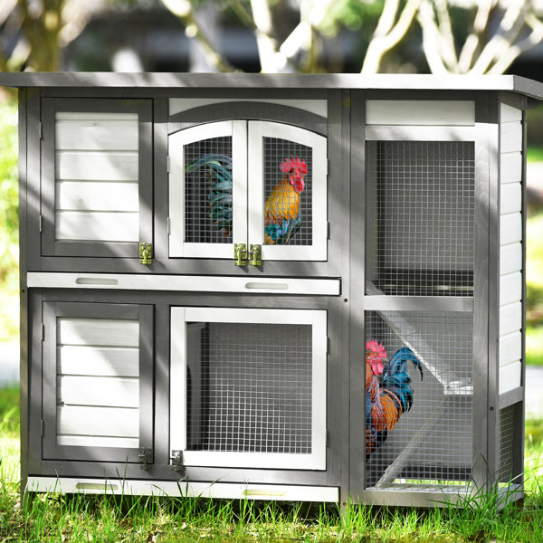 Archie & Oscar Amherst Weather Resistant Rabbit Hutch with Ramp ...
