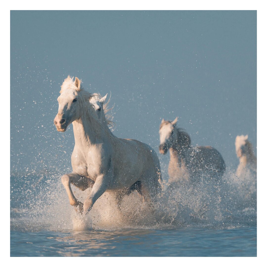 Strukturierte Tapete Herd of Grey Horses 1,92 m x 192 cm