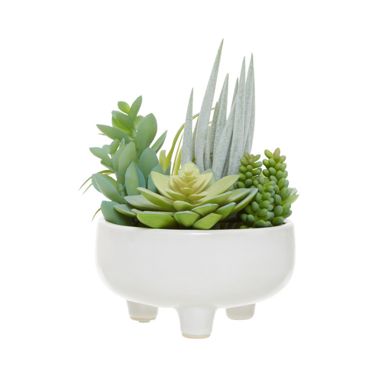 24cm Faux Succulent in Ceramic Pot