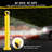 Safety Bollard Post-96003526