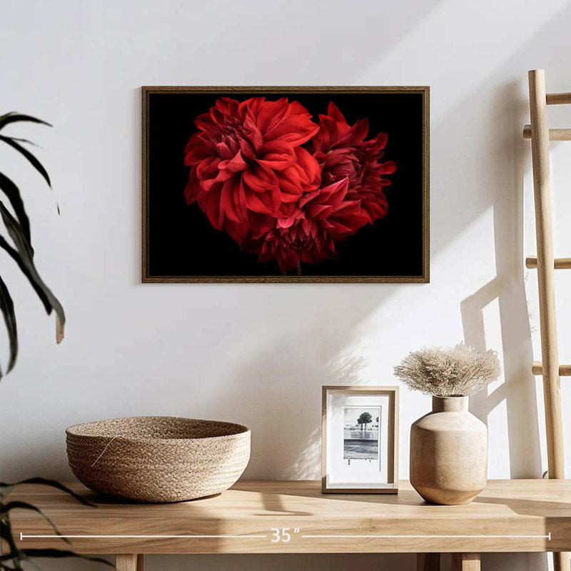 Dahlia rouge en fleurs, 19 po x 13 po, Cadre flottant noyer