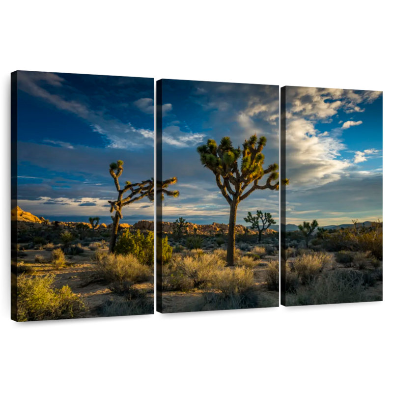 Sebbie Joshua Tree National Park Scenery, 20" H x 33" W