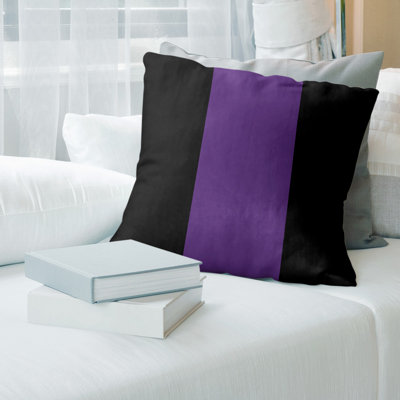 Sacramento Basketball Striped Pillow Cover