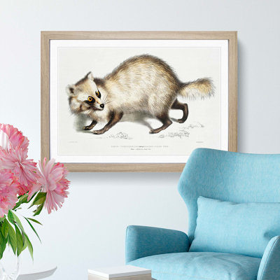 Racoon-Faced Dog by John Edward Gray - Picture Frame Painting Print