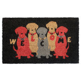 Ameliarae Non-Slip Doormat
