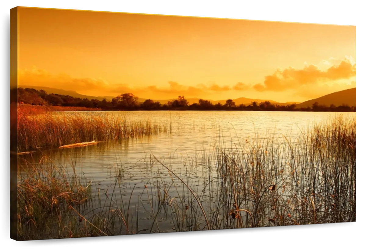 Millwood Pines Alvord Calming Lake Sunset | Wayfair