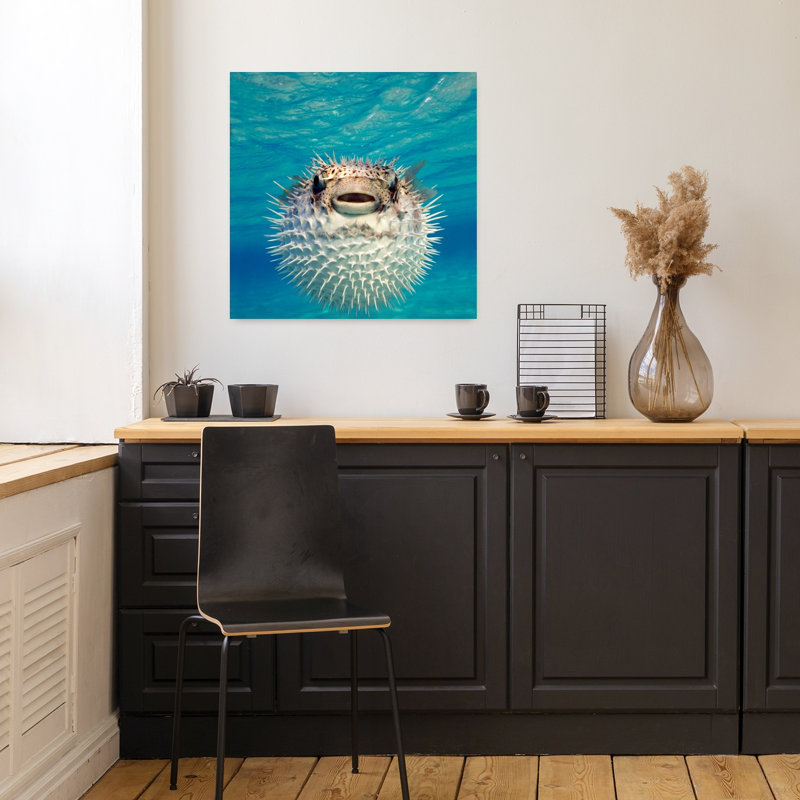 Gros plan sur un poisson-globe, art contemporain des Bahamas, H 18 po x l 18 po