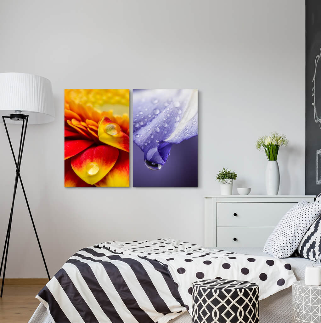 2-tlg. Leinwandbilder-Set - Fotografie „Drops Orange Yellow Multi Lot Flowers Refreshing”