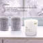 Musky Melon Scented Jar Candle