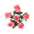 Corail