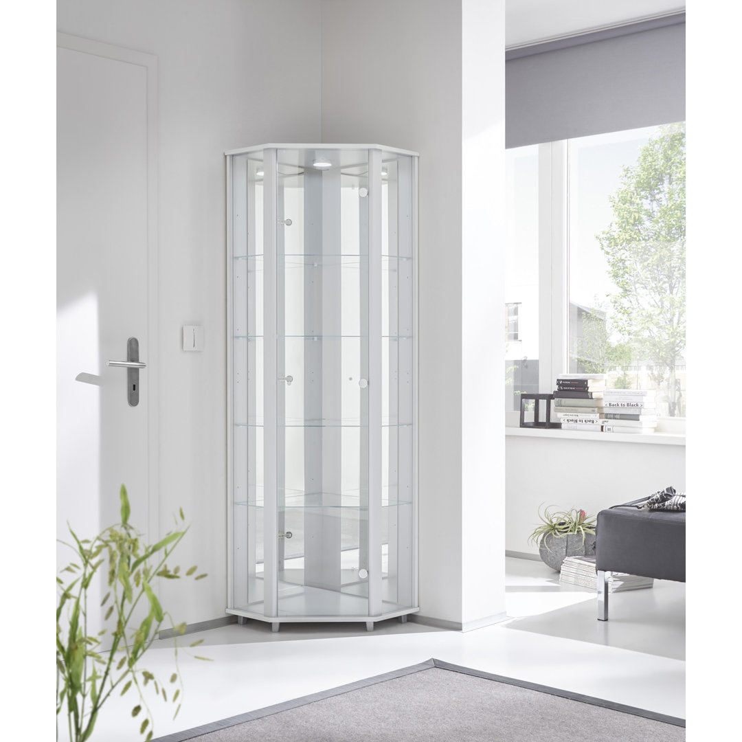 Elizel Corner Curio Cabinet with Lighting