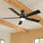 Lucian 60'' Ceiling Fan with LED Lights-715556767