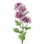 Plastic, Silk Artificial Arrangement-89222329