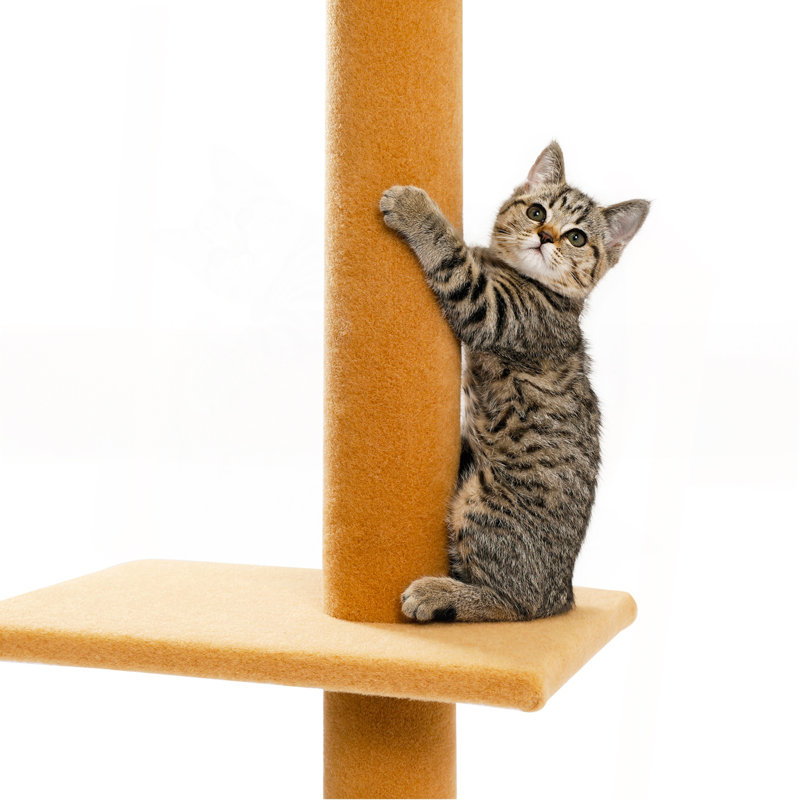 Arbre à chat à trois niveaux, Beige