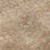 Premium Machine Washable Ducote AMF1133 Global Rug