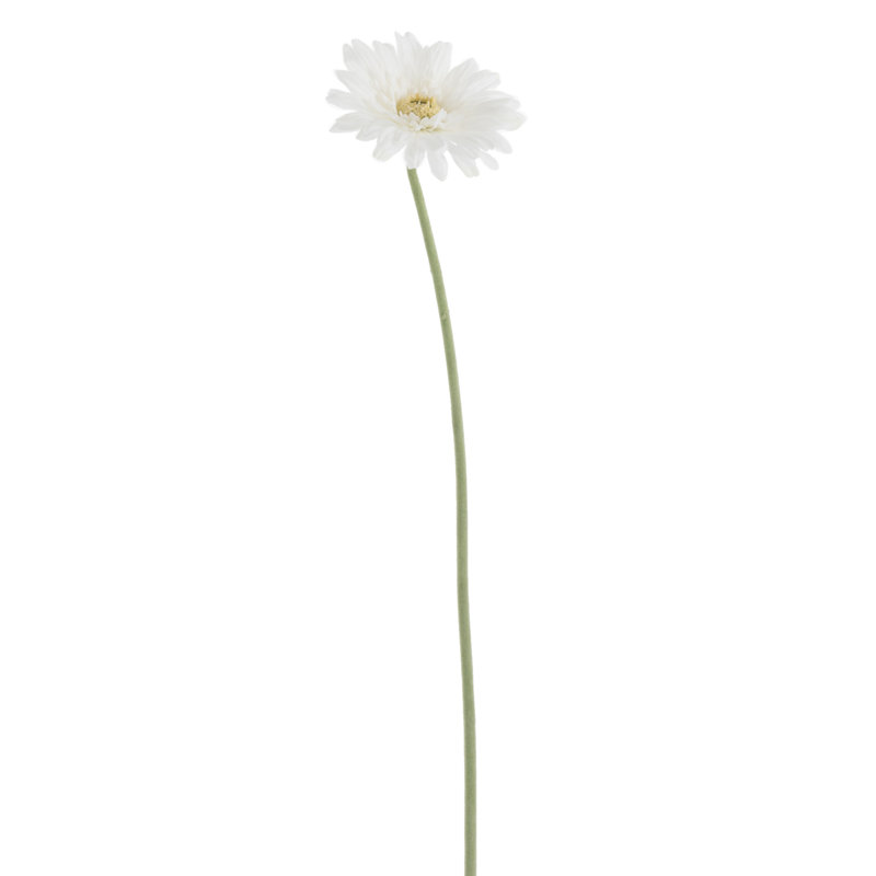 Daisy Arrangement