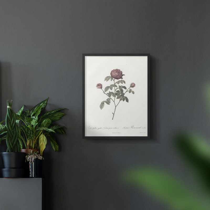 Imprimé floral rétro CXLVI, Cadre noir, H 10 po x l 8 po