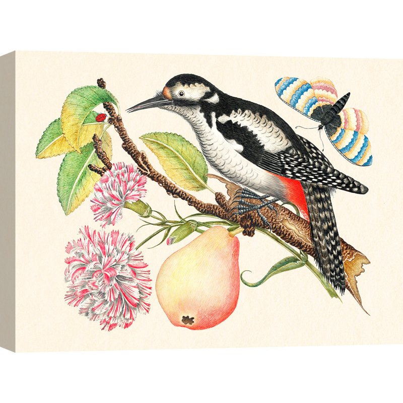 A Bird Perched On A Branch I by Anonymous - Wrapped Canvas Art Prints, 90cm H x 120cm W x 4cm D