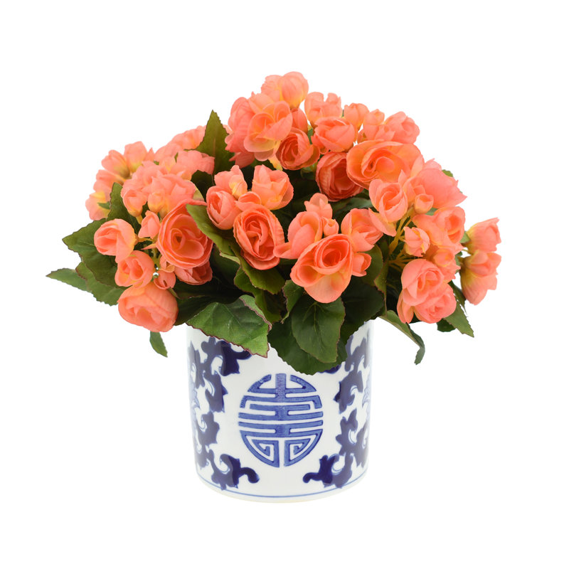 Begonia Arrangement In Ornamental Ceramic Vase, Peach