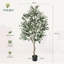 180cm Plant