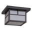 1 - Light Flush Mount