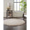 Oriental Indoor Rug