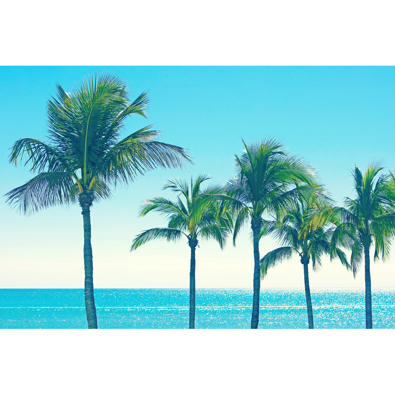 «Florida Tropical Palms» par Triggerp Photo, H 8 po x l 12 po