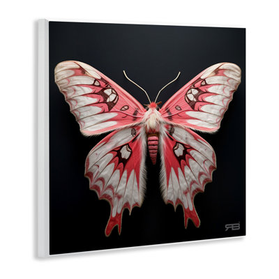 Art mural rouge et blanc sur papillon de nuit par Roozbeh Bahramali