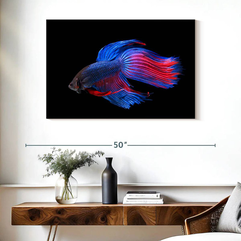 Brampt brillant poisson Betta, H 26 po x l 39 po