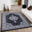 Rheon Oriental Area Rug in Black