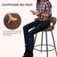 Annemarie Bar stool (set of 4) with backrest, metal feet, black, upholstered bar stool, rounded seat cushion, without armrests-1528843923