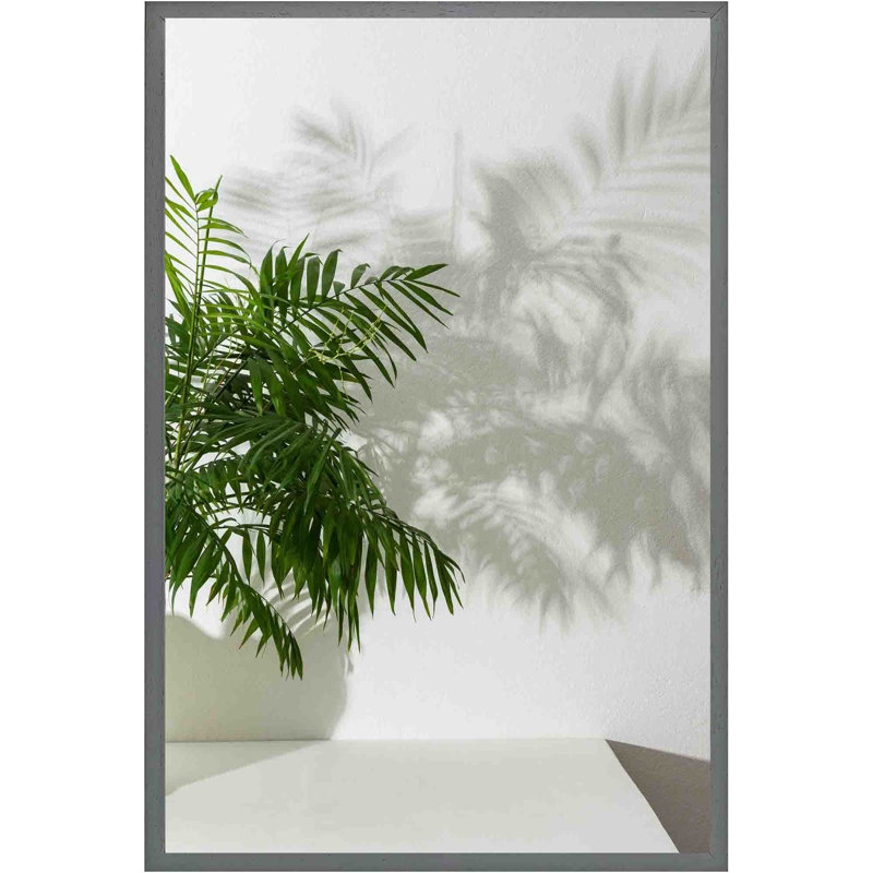 Hellertown Chamaedorea - Single Picture Frame Print, 61cm H x 41cm W x 4cm D, Grey