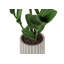 20 po de hauteur plante artificielle Zz en pot de ciment gris, plante décorative d'intérieur avec effet de verdure