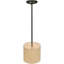 1 - Light Pendant