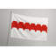 Drapeau de la ville d'Omsk - drapeau extérieur-219994224