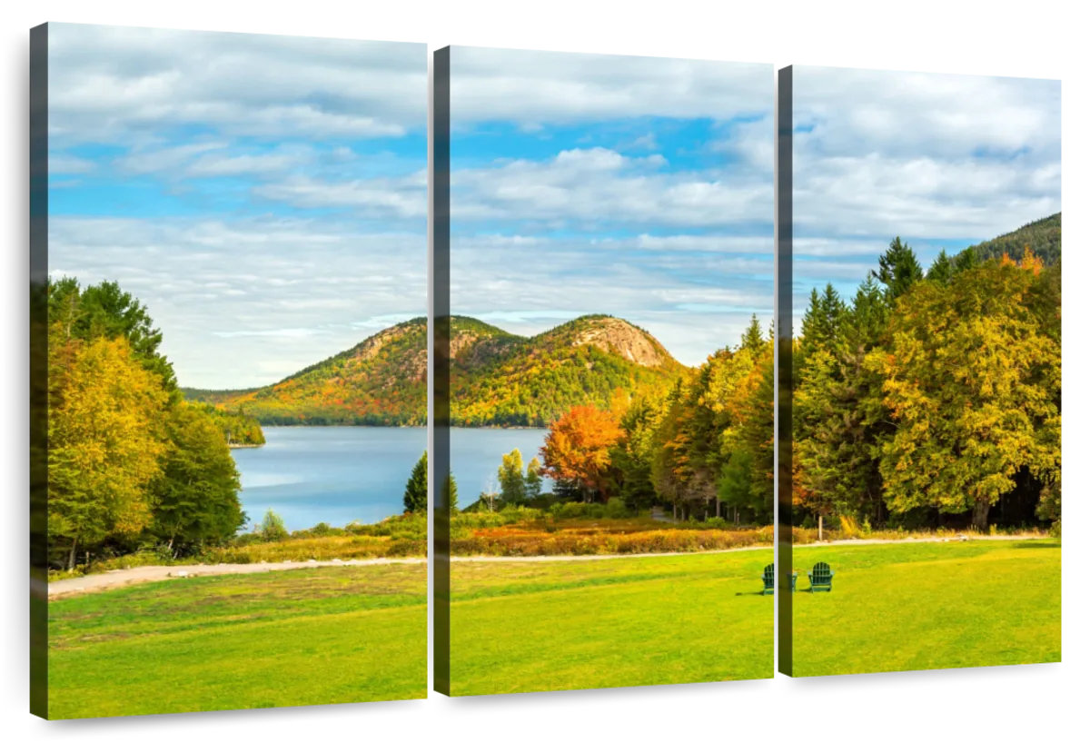 Millwood Pines Alvord Acadia National Park In Maine | Wayfair