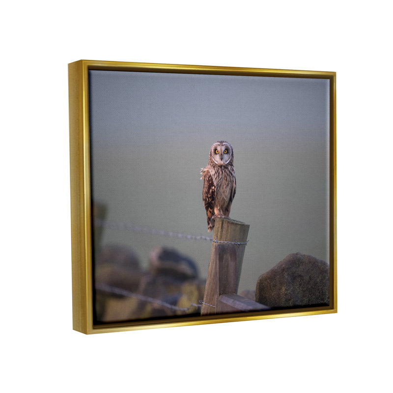 Intensely Gazing Owl Perché, H 17 po x l 21 po x P 1,5 po, Cadre flottant métallique doré