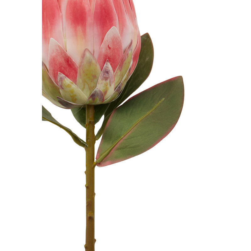 Fiori Protea Arrangement