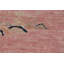 Tapis turc art déco en laine rose 5 x 7
