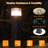 Integrated LED Pathway Light