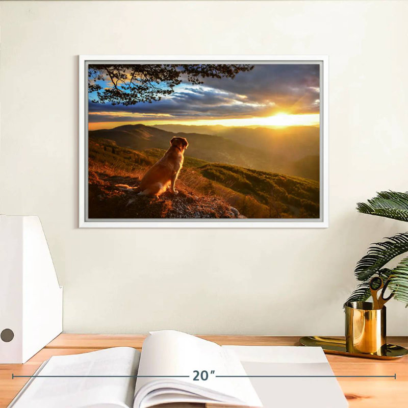 Chien regardant le lever du soleil, Cadre flottant blanc, 13 po x 9 po