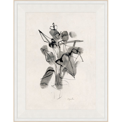 Plante IV