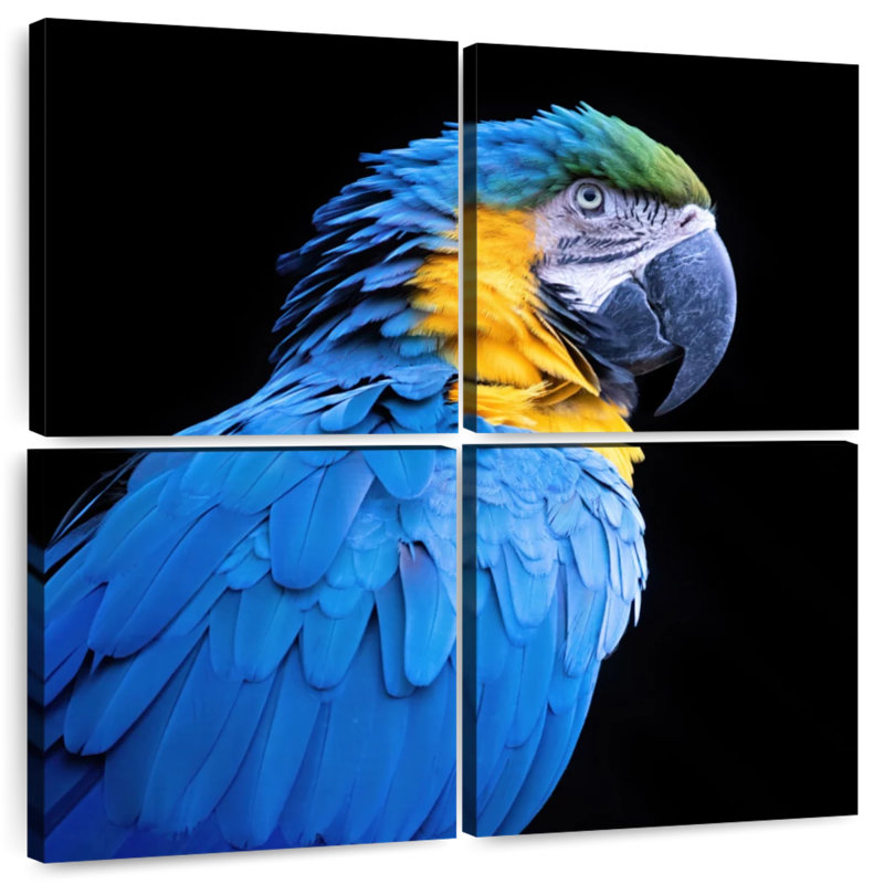 Brampt Neotropical Blue Macaw, 26" H x 26" W
