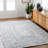 Rectangle Groh Flatweave Polyester Area Rug in Gray-1749013862