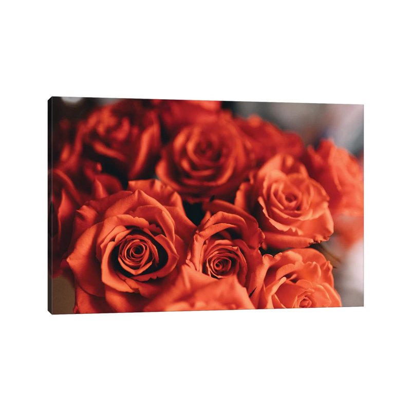 Orange Roses by Chelsea Victoria - Wrapped Canvas Print, 20.32 cm H x 30.48 cm W