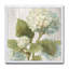 « goauche green fleur ii »-reproduction d’image sur toile-48309088-48309087